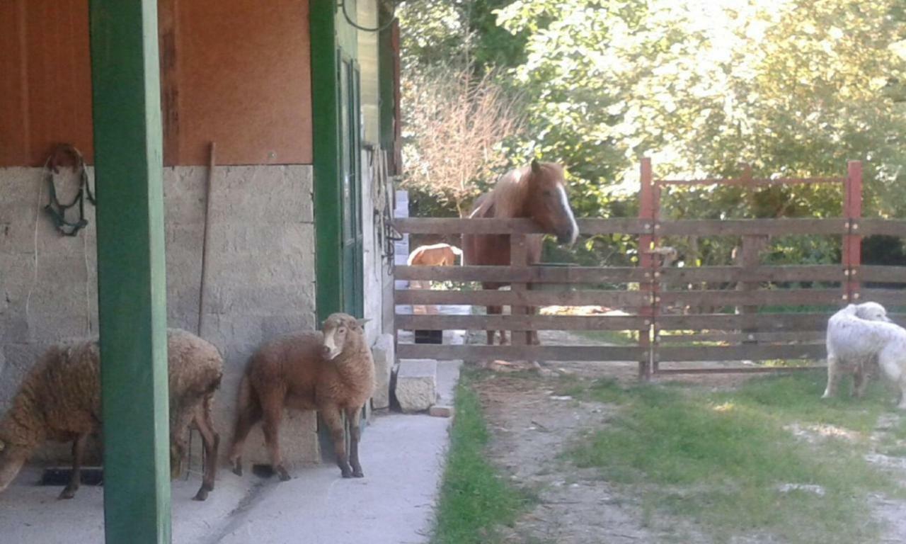 La Masseria Di Antonio E Teresina Colli a Volturno 외부 사진