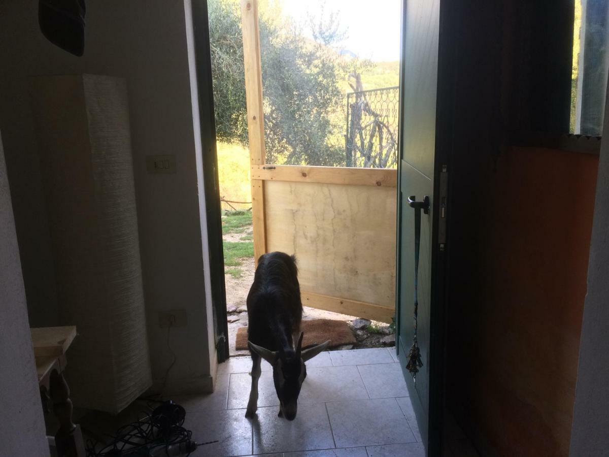 La Masseria Di Antonio E Teresina Colli a Volturno 외부 사진
