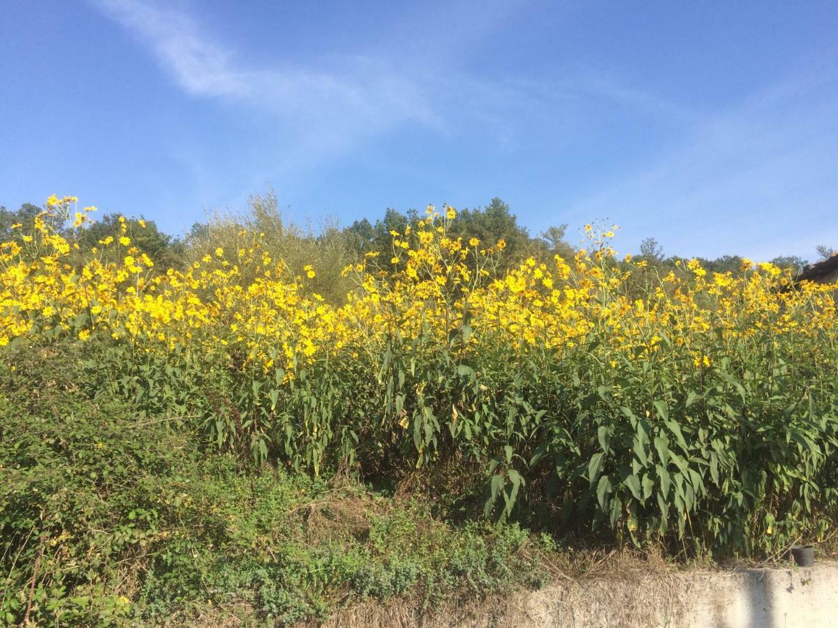 La Masseria Di Antonio E Teresina Colli a Volturno 외부 사진