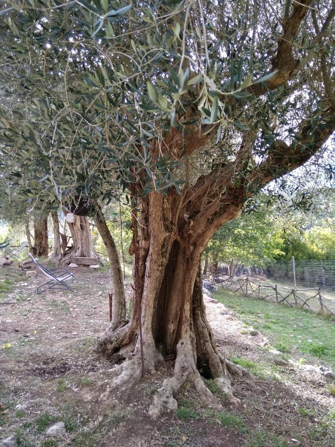 La Masseria Di Antonio E Teresina Colli a Volturno 외부 사진